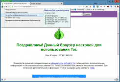 Tor Browser для Windows